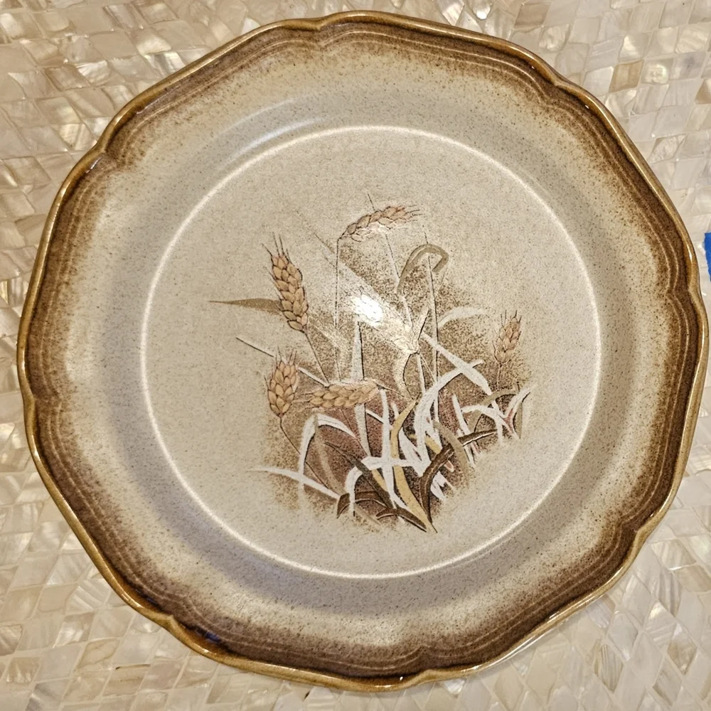 #3 [MIKASA] (2) Dinner Plates: Mikasa Whole Wheat E8001 [3 of 3 pairs]